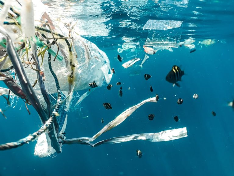 Eco-Friendly Travel: Exploring the World Without Leaving a Footprint